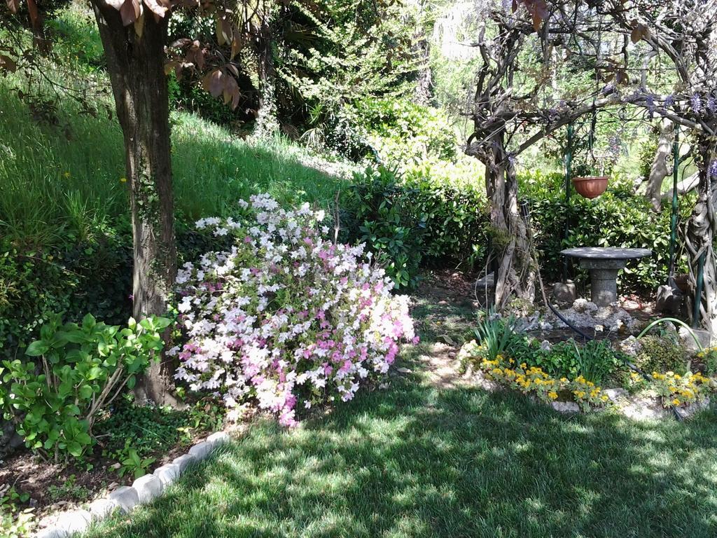 קומו B&B Villa Adelaide מראה חיצוני תמונה